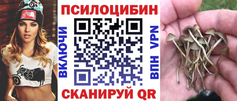 Галлюциногенные грибы мицелий  Нижняя Салда 